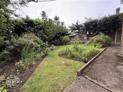 Picture 29